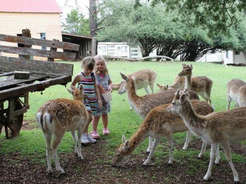 Deer Park Motor Inn Armidale Eksteriør bilde